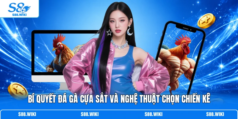 Bí quyết đá gà cựa sắt và nghệ thuật chọn chiến kê 