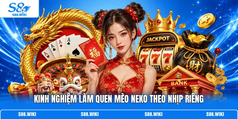 Kinh nghiệm làm quen Mèo Neko theo nhịp riêng
