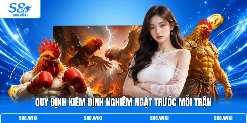 Quy định kiểm định nghiêm ngặt trước mỗi trận